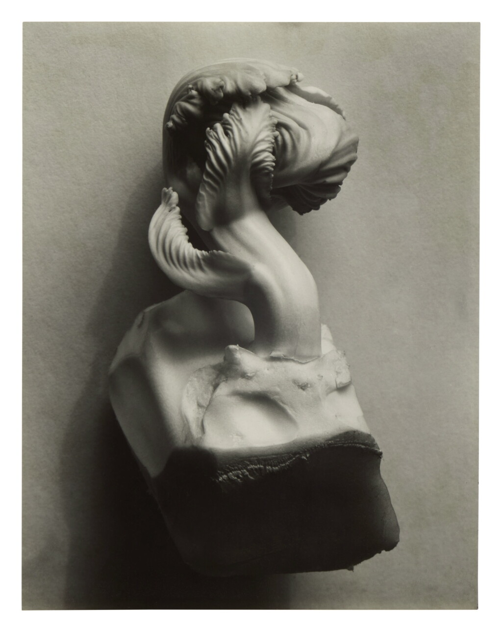 View full screen - View 1 of Lot 174. 'Cabbage Sprout'.