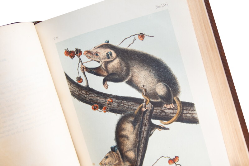 Cover image 0