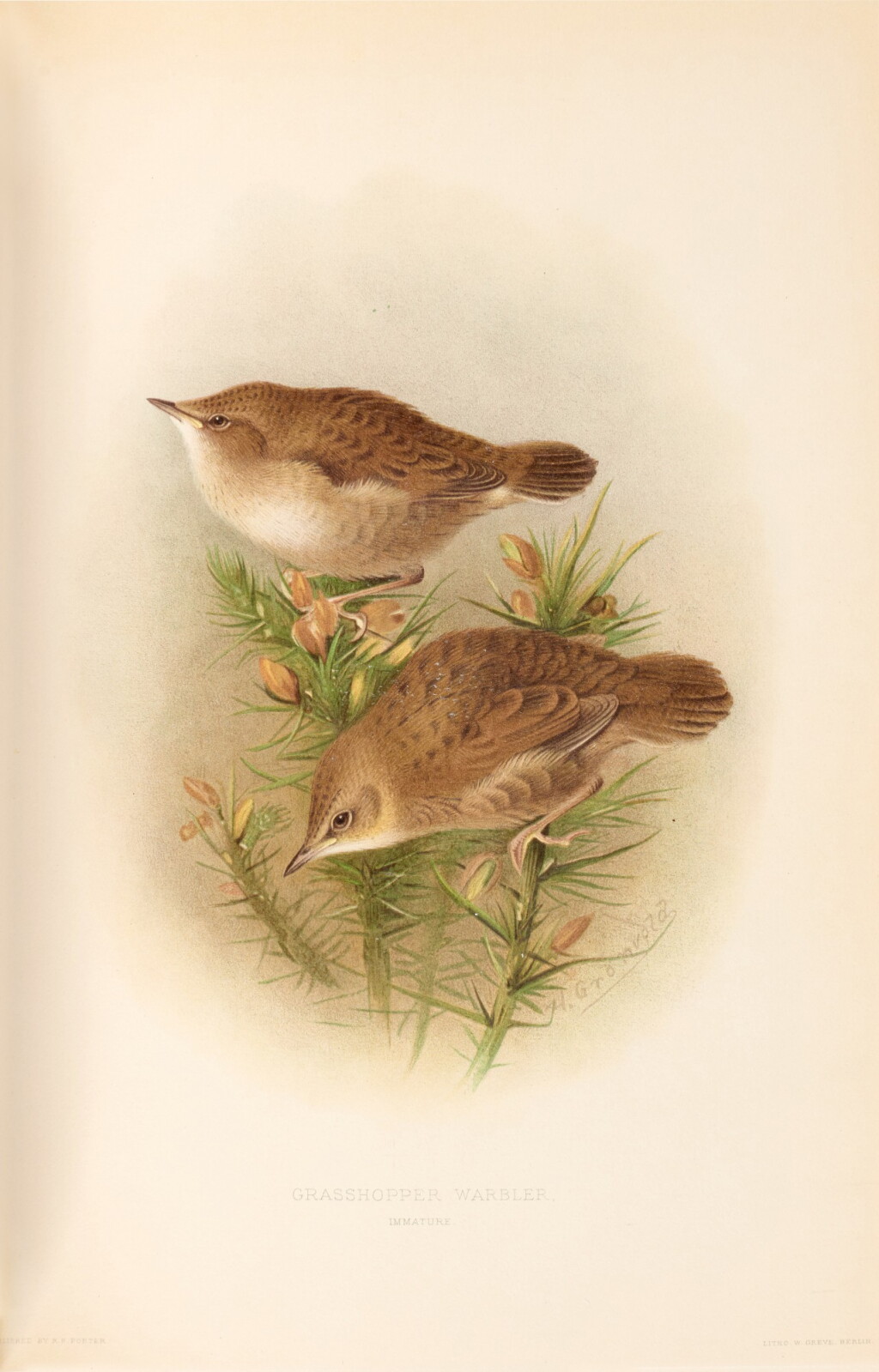 View full screen - View 1 of Lot 118. H. Eliot Howard | The British warblers, 1907-1914, 2 volumes.
