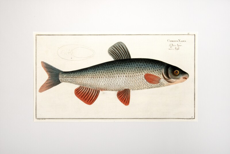 Cover image 0