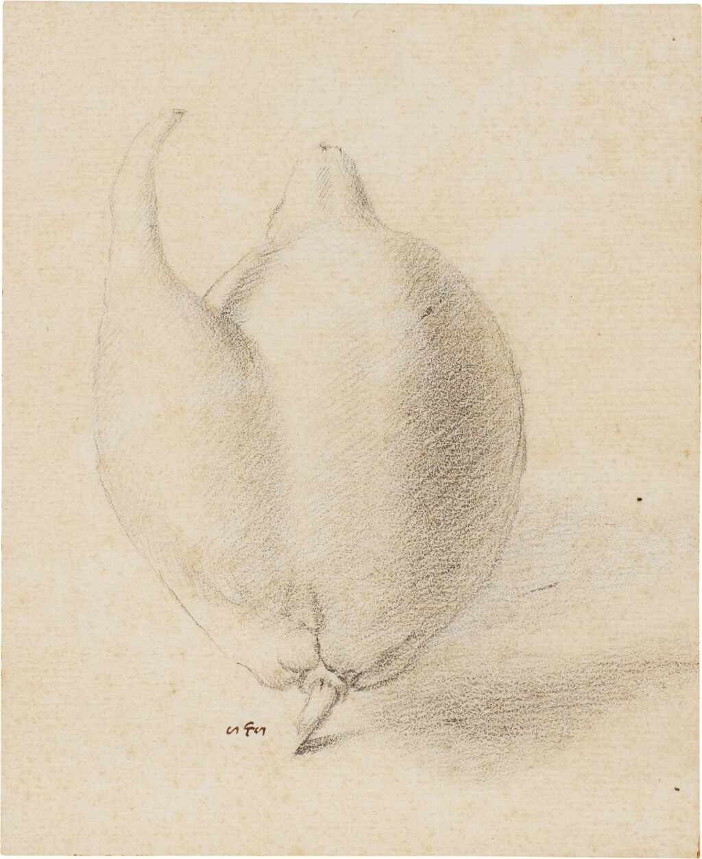 View full screen - View 1 of Lot 169. A) A Citrus Fruit: Twin Lemon (Citrus Limon) B) A Goose Barnacle (Lepas possibly anatifera).