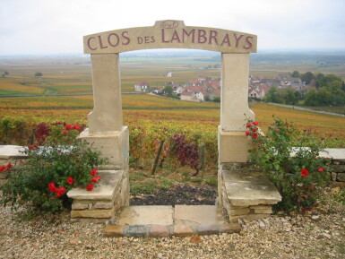 View full screen - View 1 of Lot 88. Clos des Lambrays 2011 Domaine des Lambrays (6 BT).