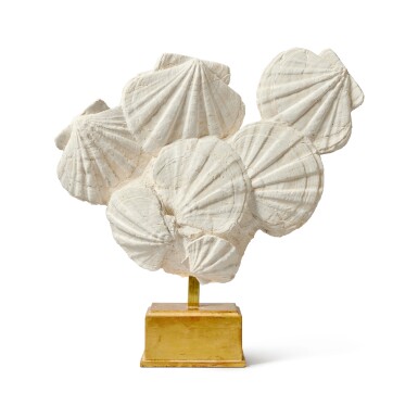 View full screen - View 1 of Lot 227. Bouquet of Fossilized Saint-Jacques Shells.