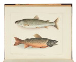 Doughty, John and Thomas Doughty | The Laird U. Park, Jr. copy of "the first colored-plate sporting book printed in America"