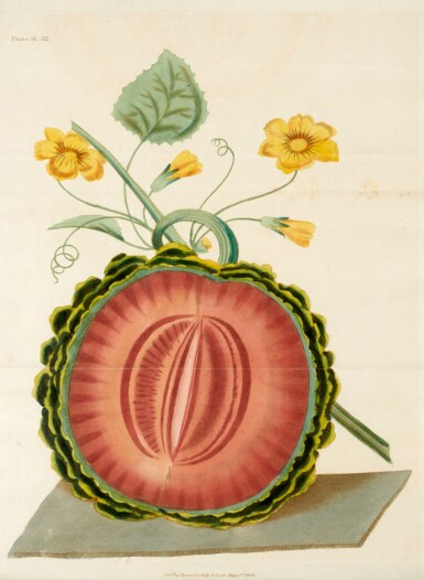 View full screen - View 1 of Lot 32. George Brookshaw | The Horticultural Repository, 1823, 2 volumes.