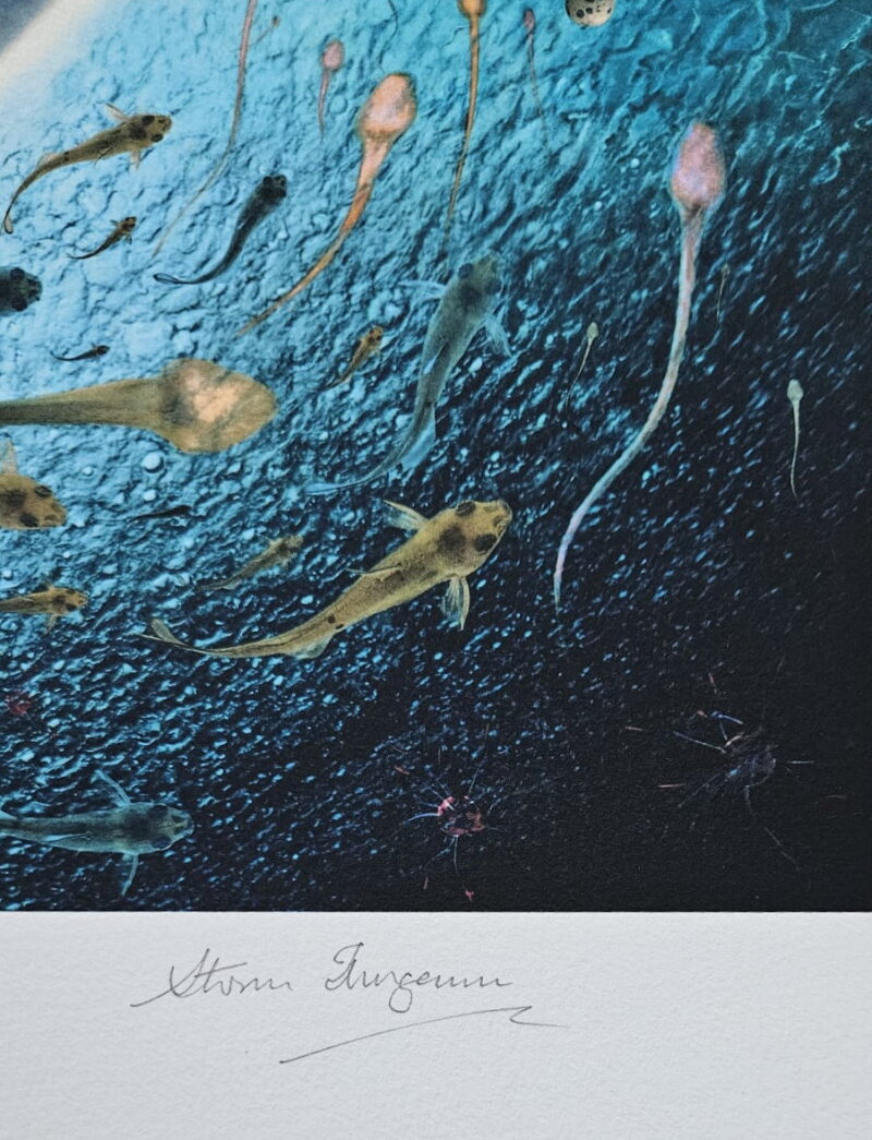 Cover image 0