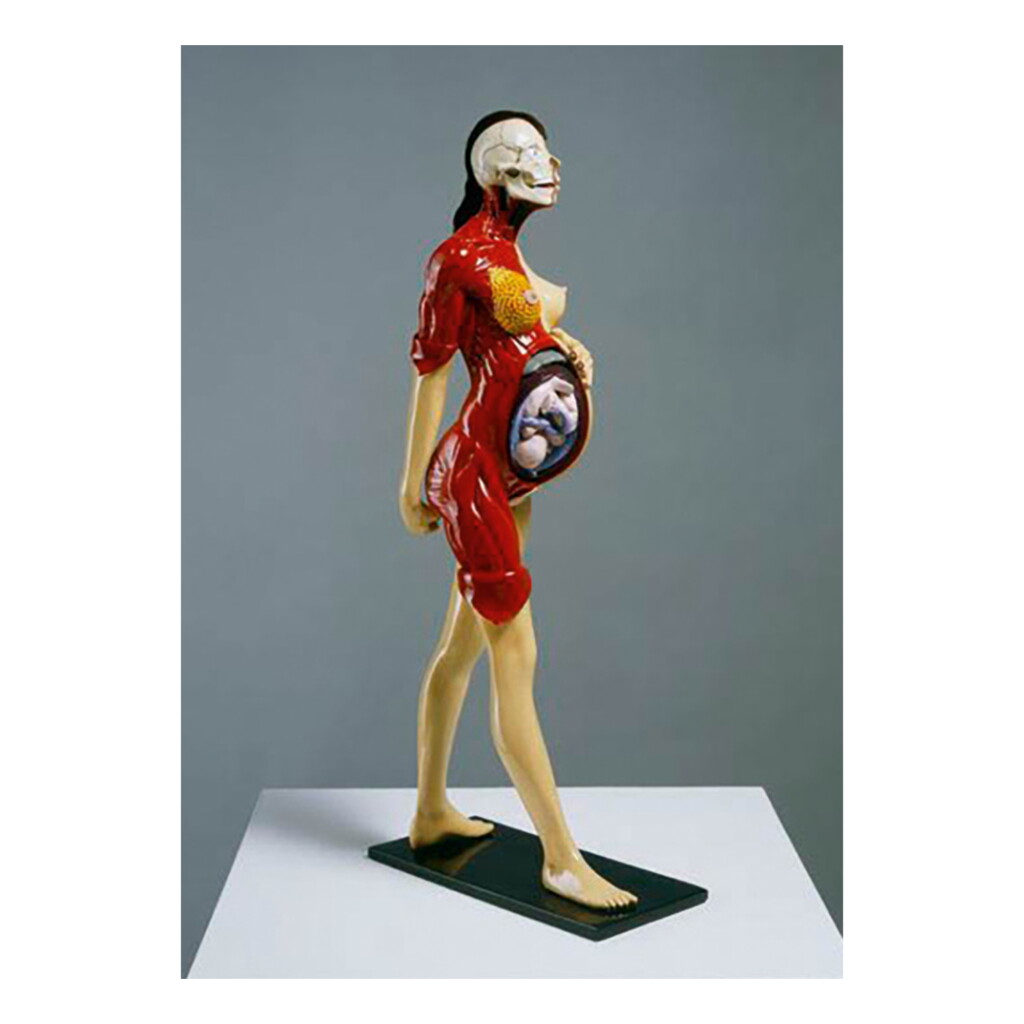View full screen - View 1 of Lot 265. DAMIEN HIRST | VIRGIN (EXPOSED).