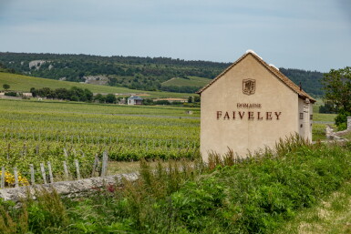 View full screen - View 1 of Lot 608. Corton, Clos des Cortons 2005 Faiveley (6 BT).