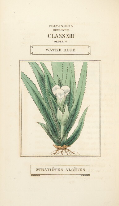View full screen - View 1 of Lot 54. Duppa, Richard. First edition of Duppa's introduction to the Linnaean classification.