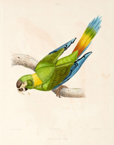 View full screen - View 1 of Lot 216. Charles de Souancé | Iconographie des Perroquets, Paris, 1857.