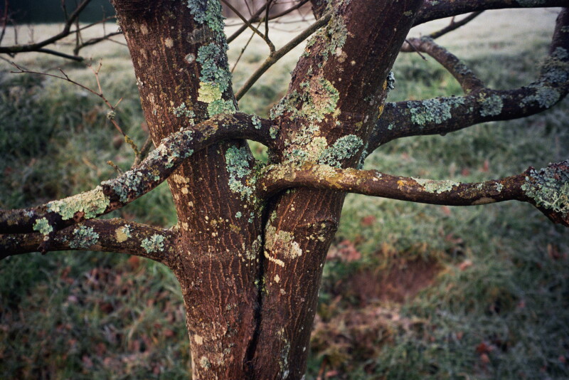 Cover image 0