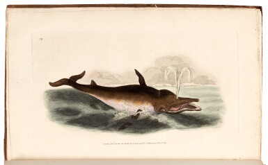 View full screen - View 1 of Lot 10. Edward Donovan | The Natural History of British Quadrupeds. London, 1820, 3 volumes.