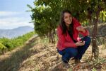 Chandon, Mt. Veeder Vintage Brut, Library Selection, Sparkling Wine, Mount Veeder NV (60 BT)