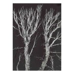 'Sierra Nevada' (Two Dead Trees Against Black Sky)
