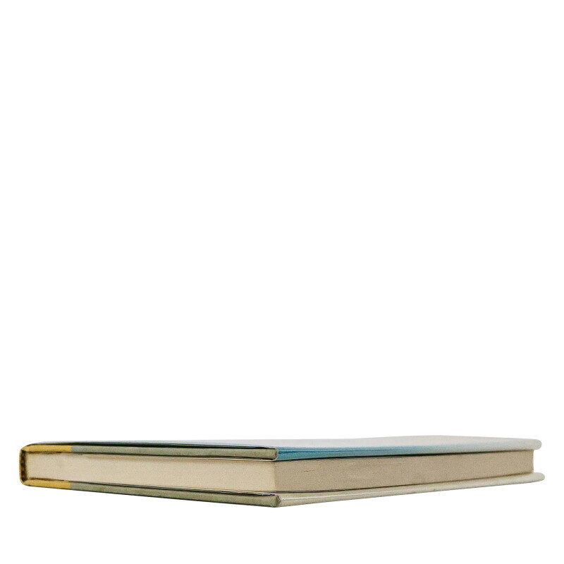 Cover image 0