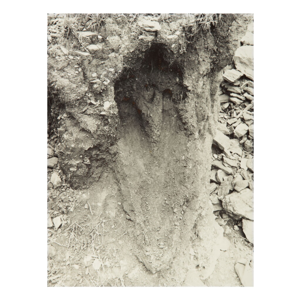 View full screen - View 1 of Lot 16. ANA MENDIETA | UNTITLED: SILUETA SERIES, MEXICO.