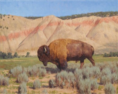 View full screen - View 1 of Lot 208. Vermillion Creek.