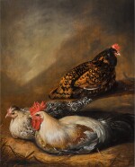 Three resting chickens