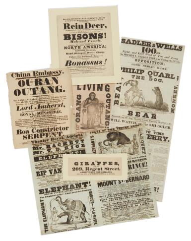 View full screen - View 1 of Lot 435. (Mammals, Exotic Exhibitions) | A group of six handbills and broadsides.