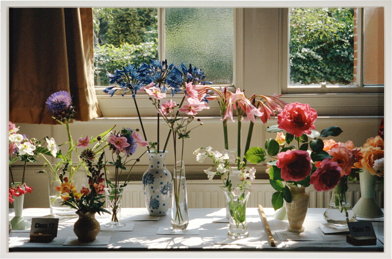 Cover image 0