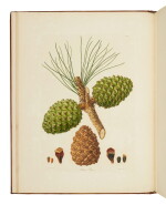Lambert, Aylmer Bourke | The Mackenzie-Horticultural Society of New York-de Belder-Von Hoffmann copy; one of twenty-five handcolored copies