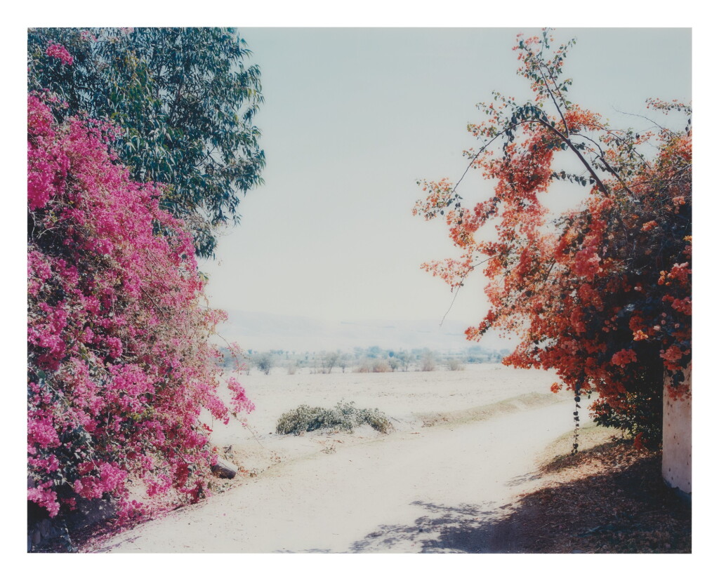 View full screen - View 1 of Lot 519. THOMAS STRUTH | HAZIENDA RIO PALPA, PALPA, PERU.