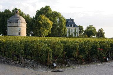 View full screen - View 1 of Lot 213. Château Latour 2005 (6 BT).