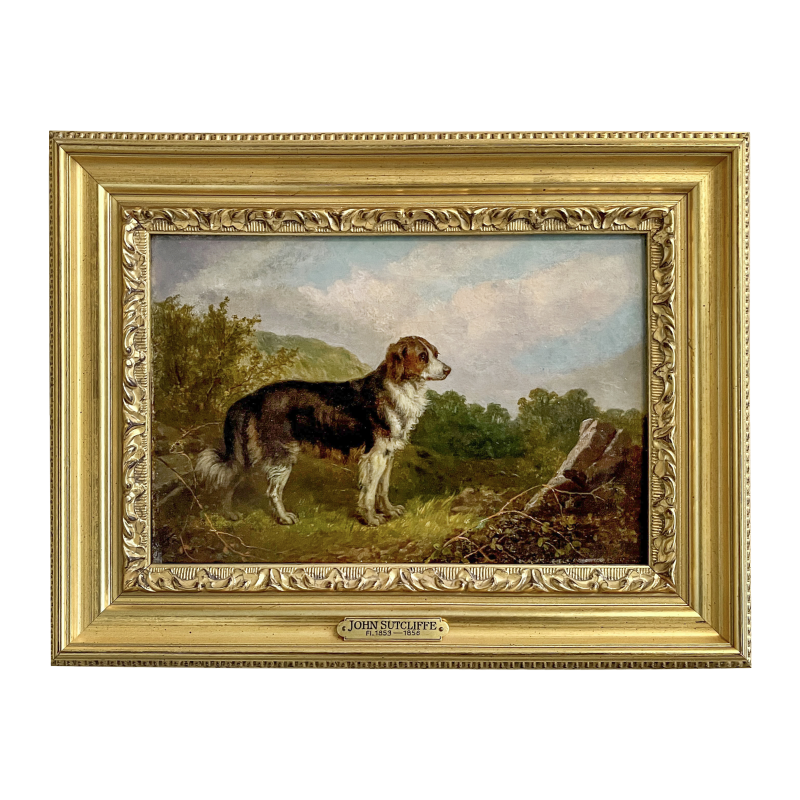 Cover image 0