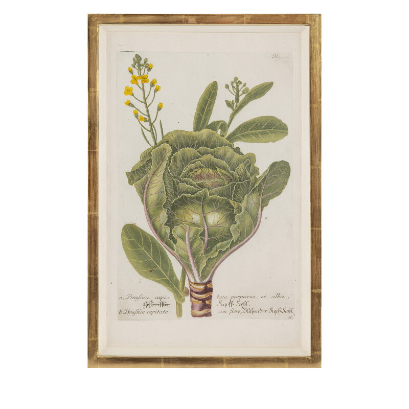 Cover image 0