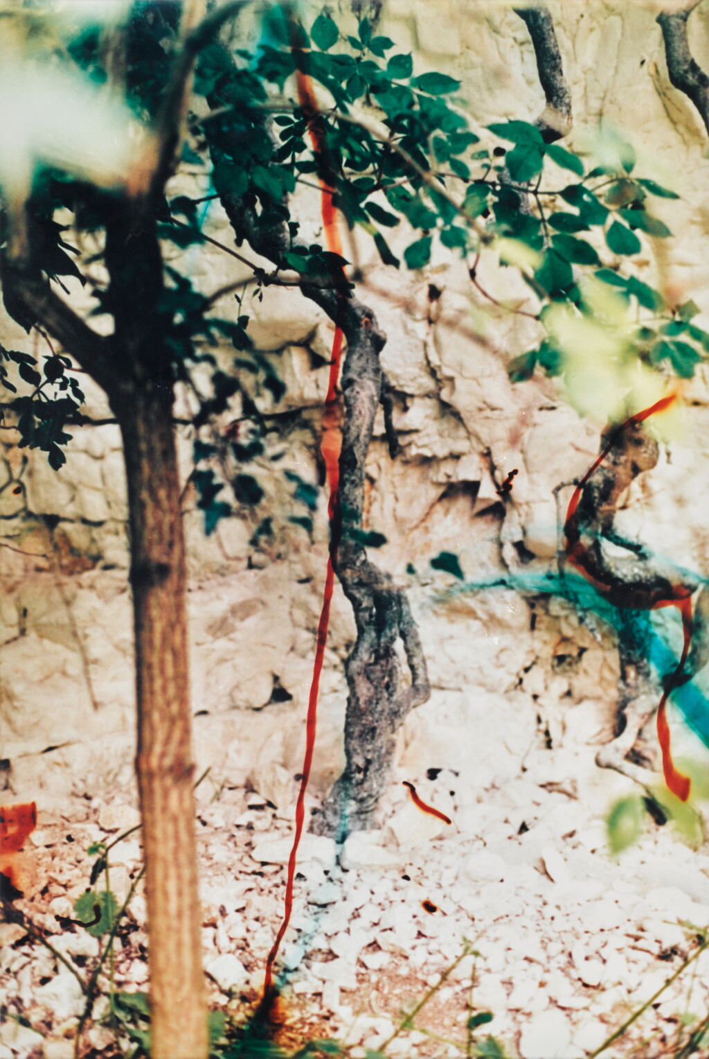 View full screen - View 1 of Lot 45. WOLFGANG TILLMANS | 'QUARRY II', 2002.