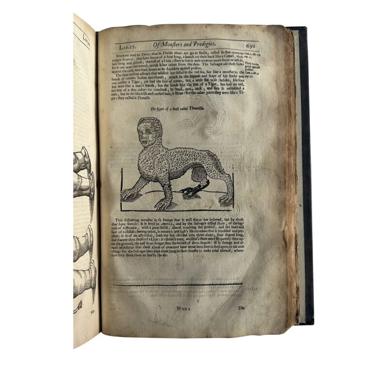Cover image 0