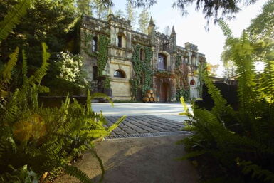 View full screen - View 1 of Lot 884. Château Montelena, Sonoma Cabernet Sauvignon 1974 (4 BT).