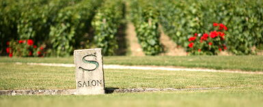 View full screen - View 1 of Lot 106. Salon Le Mesnil, Blanc de Blancs 1997 (6 BT).