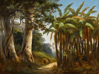 View full screen - View 1 of Lot 246. Forêt tropicale.