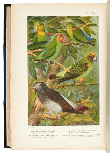 View full screen - View 1 of Lot 190. David Armitage Bannerman | Birds of Tropical West Africa, 8 volumes, London: Oliver Boyd, 1930-51.