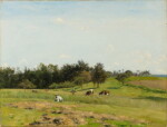 Pâturage aux environs de Caen