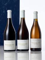 Bourgogne Blanc, Les Violettes 2005 Domaine Bizot (1 BT)