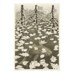 M. C. ESCHER | THREE WORLDS (B./K./L./W. 405)