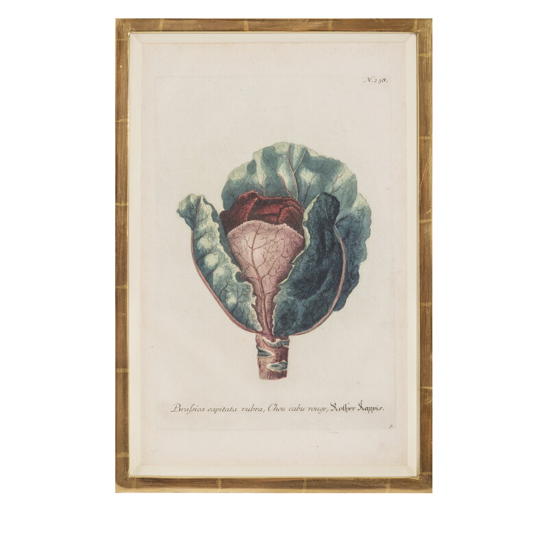 Cover image 0