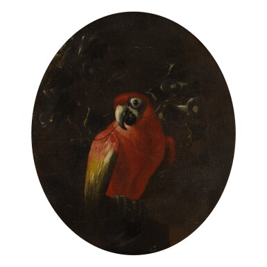 View full screen - View 1 of Lot 682. CONTINENTAL SCHOOL, 19TH CENTURY | RED PARROT WITH A BRANCH IN ITS BEAK.