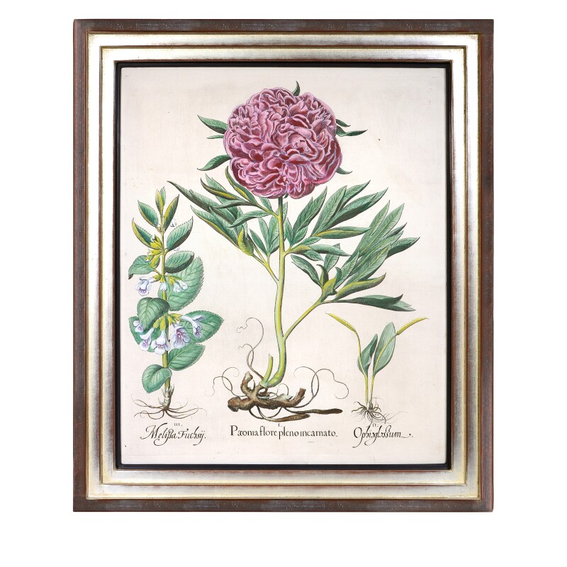 Cover image 0