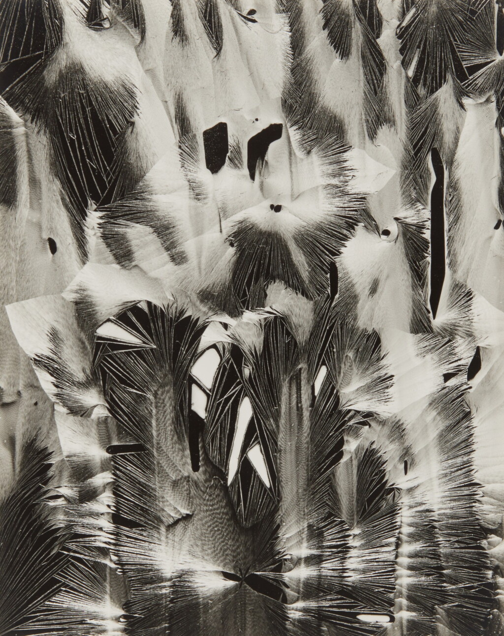 View full screen - View 1 of Lot 38. 'Fifteen Photographs'.