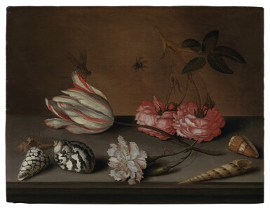 View full screen - View 1 of Lot 35. A tulip, a carnation and roses, with shells and insects, on a ledge.