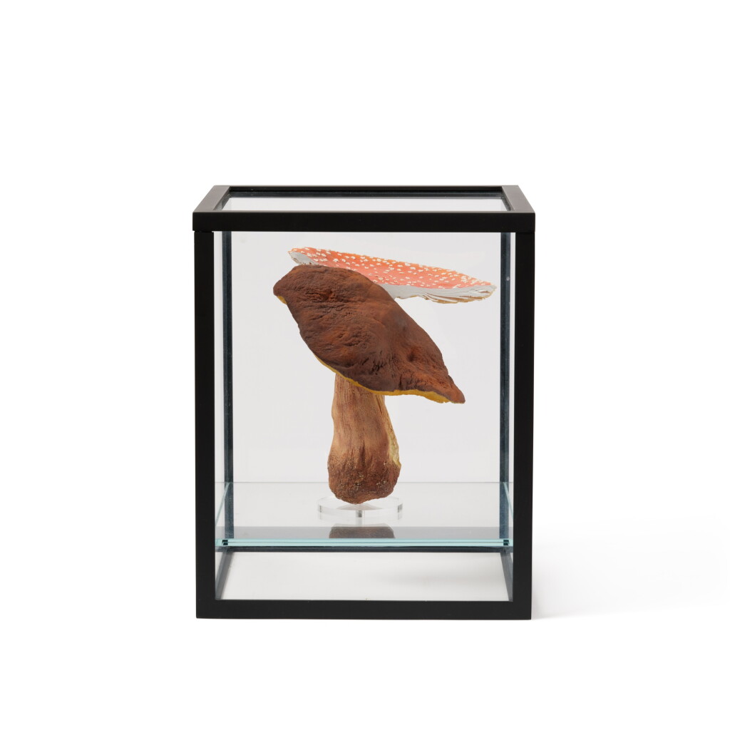View full screen - View 1 of Lot 30. Doppelpilzvitrine (1 Doppelpilz) (Double-mushroom showcase (1 double-mushroom)).