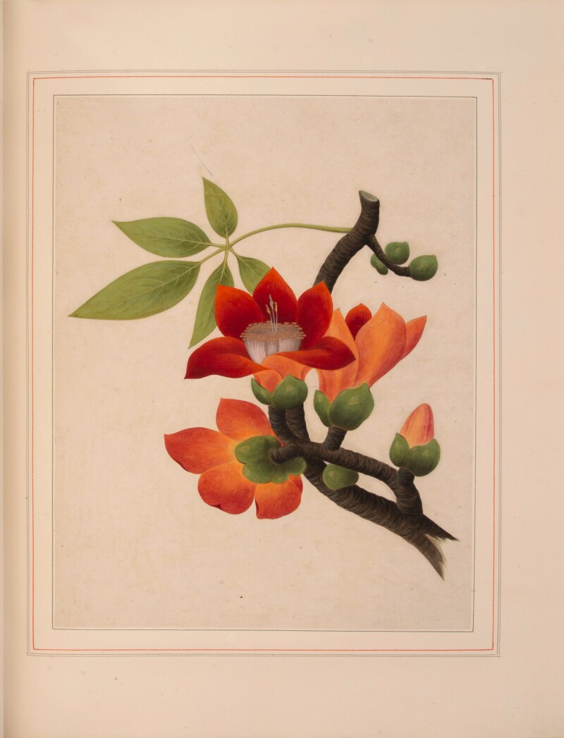 Cover image 0