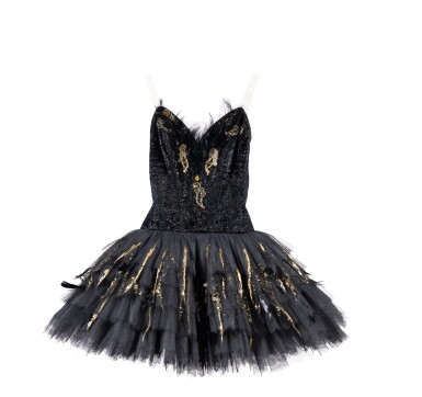 View full screen - View 1 of Lot 122. Tutu du Cygne Noir : Costume pour le Lac des Cygnes porté par Elisabeth Maurin.