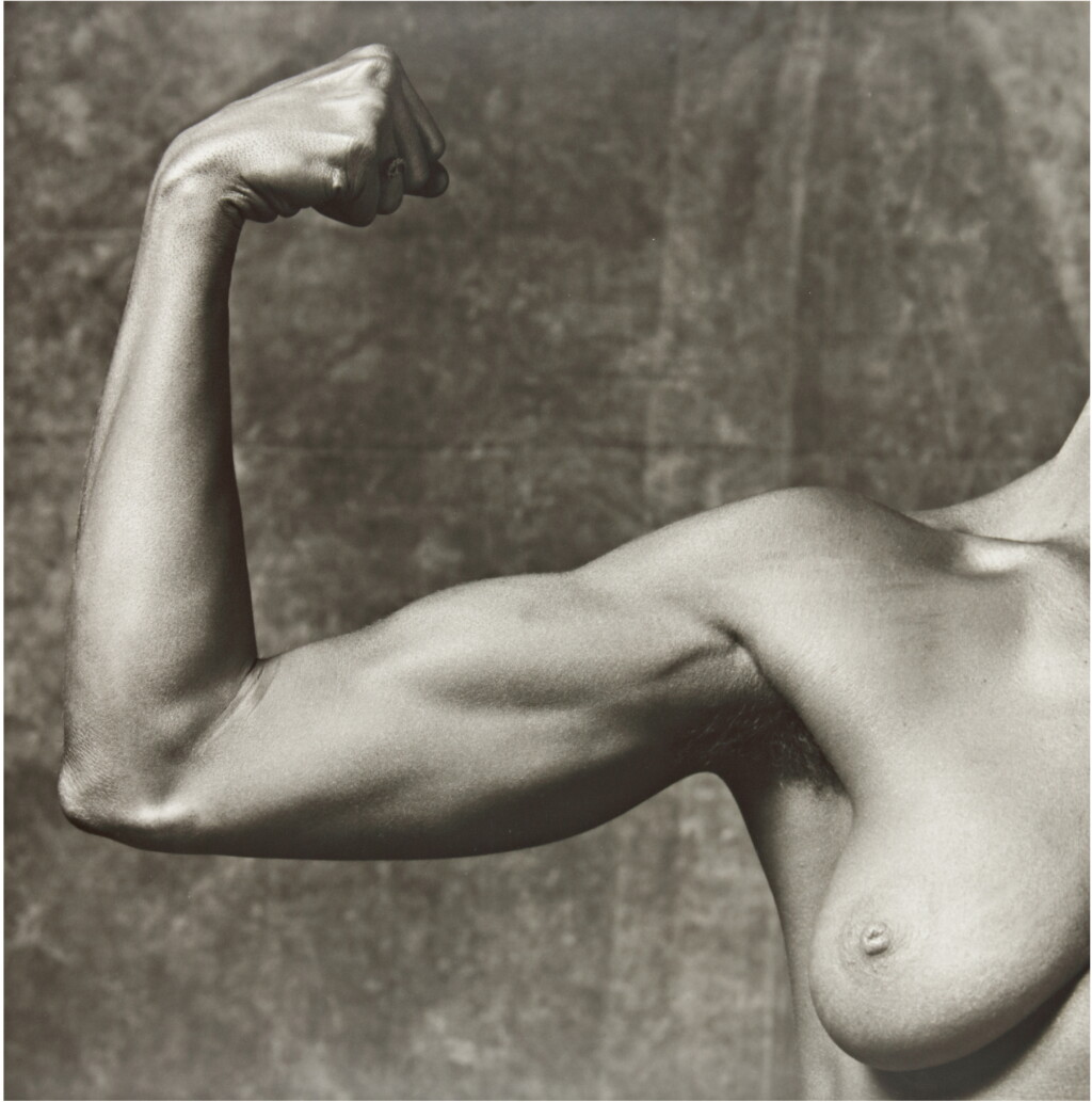 全螢幕檢視 - 查看16 ROBERT MAPPLETHORPE | LISA LYON的1