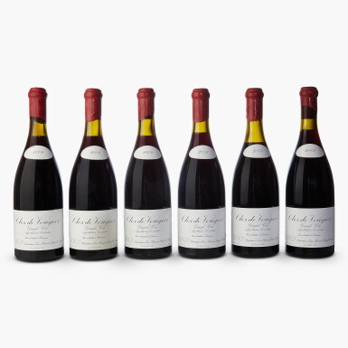 View full screen - View 1 of Lot 58. Clos de Vougeot 2009 Domaine Leroy (6 BT).