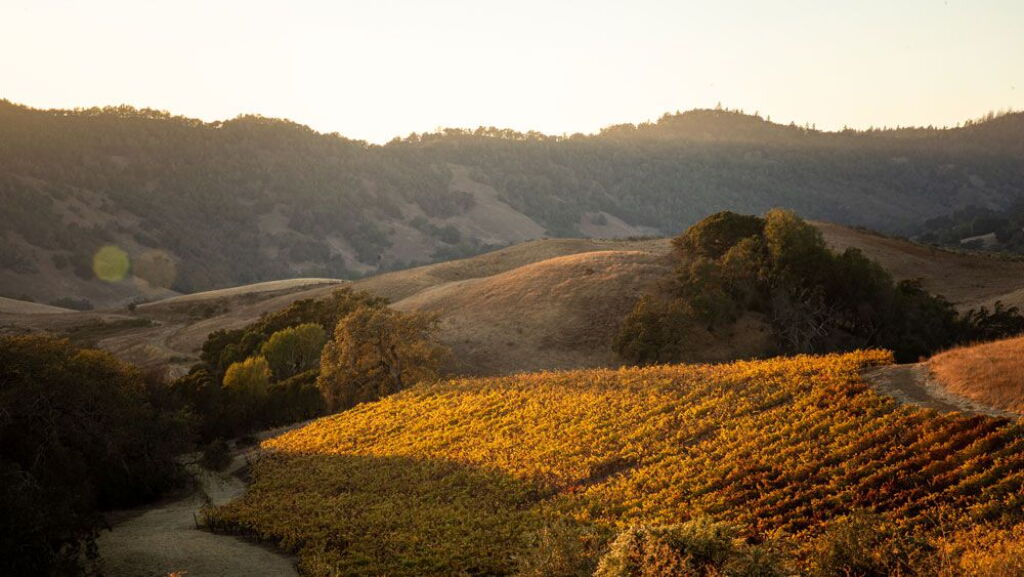 View full screen - View 1 of Lot 52. Pulido~Walker Estate Vineyards and Winery | Exclusively Mt. Veeder - Etched Magnum Duo and Lunch with Pulido~Walker Proprietor.