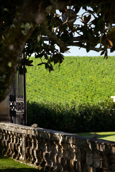 View full screen - View 1 of Lot 30. Carruades de Lafite 2005 (12 BT).